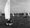 Fanshawe's First Pumpkin Regatta