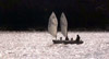 Racing in the Optis