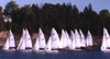 Wayfarers Just After the Start Gun
