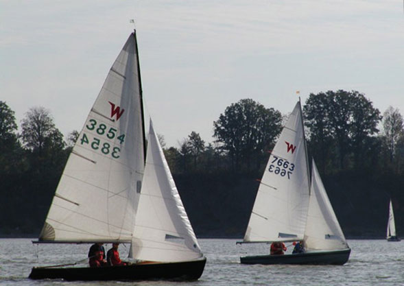 Waiting for the Next Race