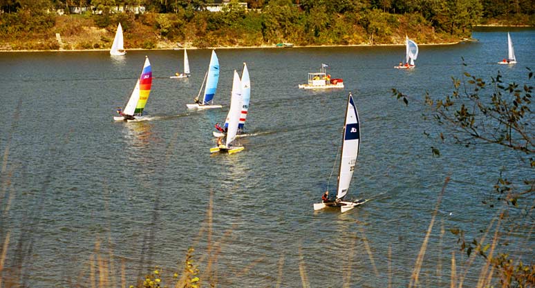 The Cats shortly after the Start