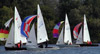 Colourful Spinnakers