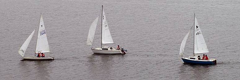 Y-Flyer and Cruisers
