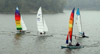 Cats Rounding the Windward Mark