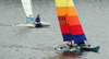 Cats Racing