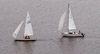 Y-Flyer and Cruisers