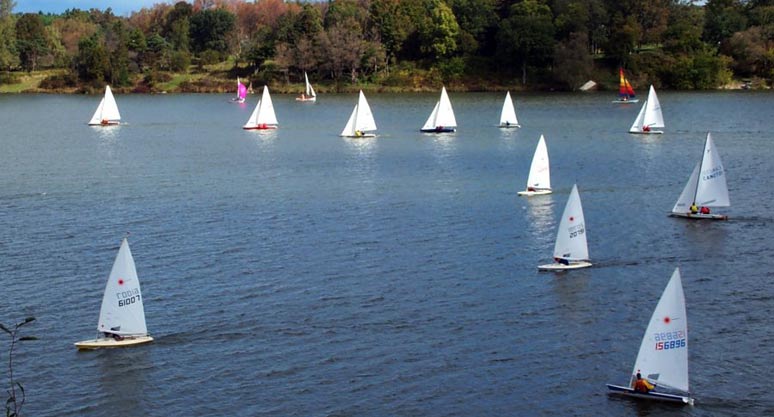 The Laser and Y-Flyer Fleets