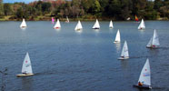 The Laser and Y-Flyer Fleets