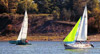 Racing Cruisers