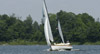 Racing in Shoestring