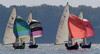 Wayfarer Fleet Spinnakers