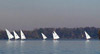 Windward Heel of the Downwind Laser Fleet