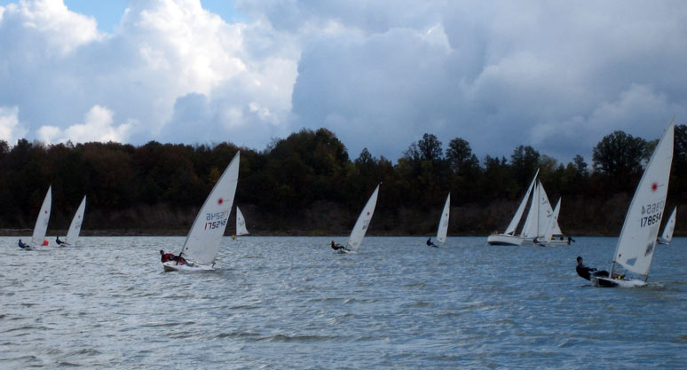 The Laser Fleet Upwind