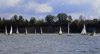 The Laser Fleet Before a Race
