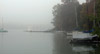 A Foggy Day