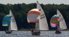 Flying the Spinnakers