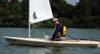 Sea Dog