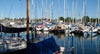 Sarnia Yacht Club