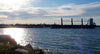One of the Many Freighters