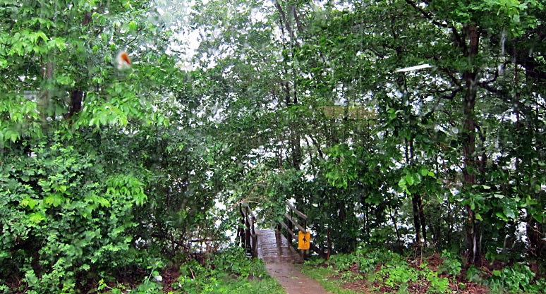 More Rain