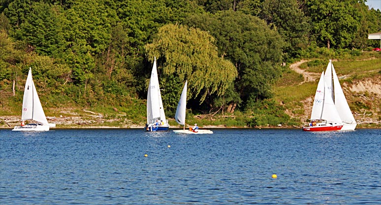 Race Night and Adult Class